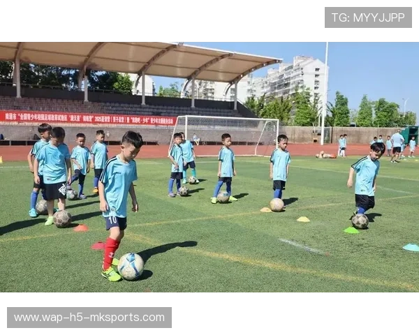 青训是否推动球员参与公益篮球赛事实践，青训是否推动球员参与公益篮球赛事实践活动